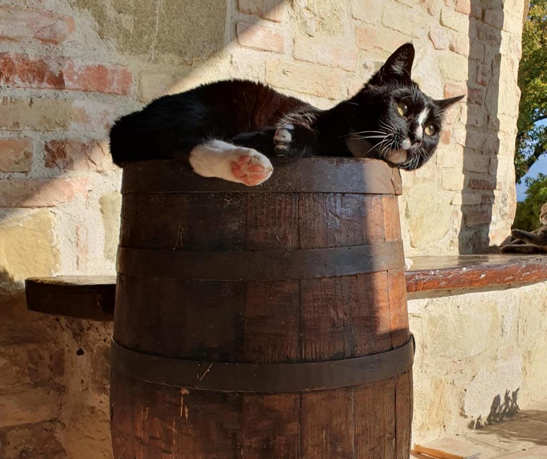 Agriturismo Il Vecchio Mandorlo Perugia Luaran gambar