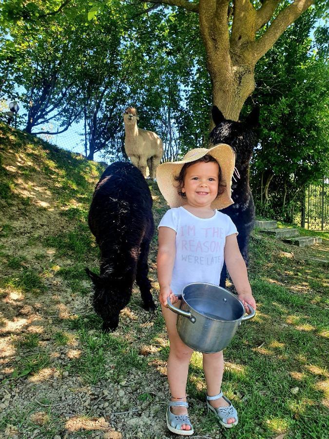 Agriturismo Il Vecchio Mandorlo Perugia Luaran gambar