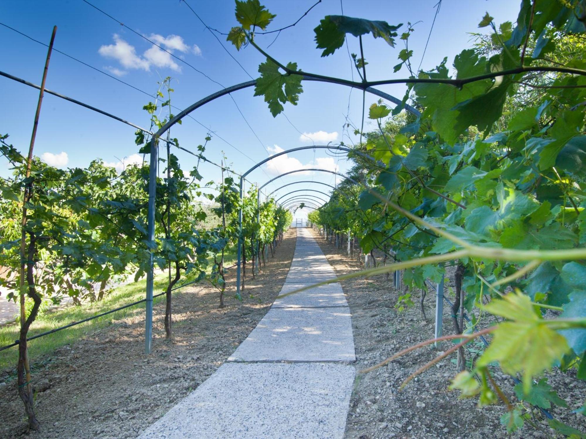 Agriturismo Il Vecchio Mandorlo Perugia Luaran gambar